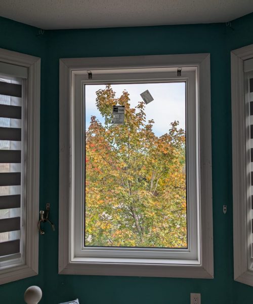 c5822ce5-c699-4e2f-88e1-dd4aee379f7d